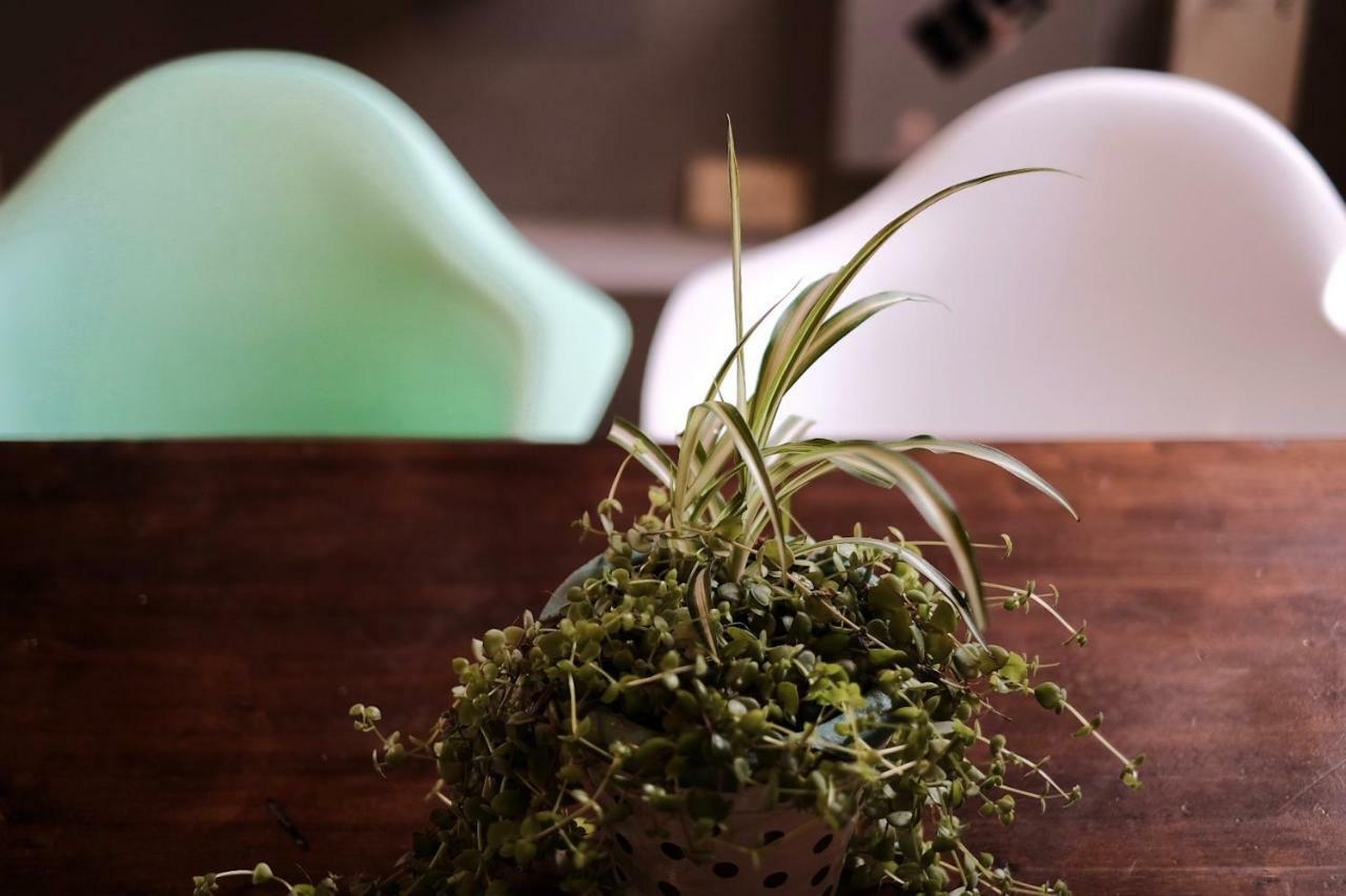Leonidas Design Loft Mendoza Eksteriør bilde